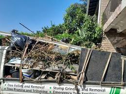 Best Residential Junk Removal  in Waldron, AR